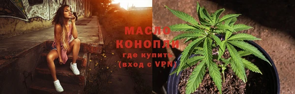 амф Сосновка